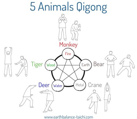 Five Animals Qi Gong | Wu Qin Xi Taoist Health Preservation | Qigong ...