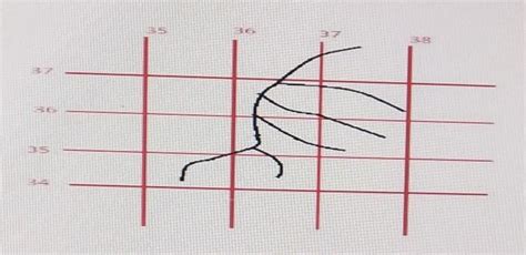 Identify the drainage pattern in 3534 and 3636 - Brainly.in