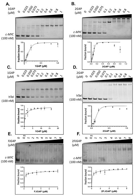 Single-Molecule Analysis of the Improved Variants of the G-Quadruplex ...