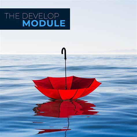 Image result for Develop Module
