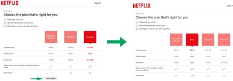 Netflix Basic Plan 的图像结果