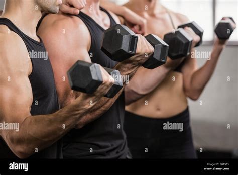 Gym Exercise 的图像结果