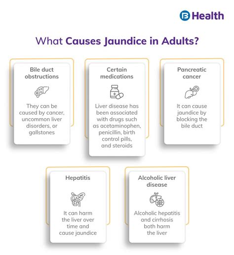 Jaundice Symptoms, Causes and Treatment