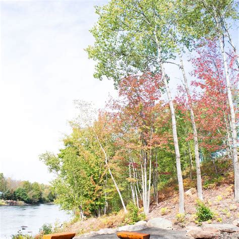 Brain Treatment Center Grand Rapids MI - Brain Treatment Center Michigan