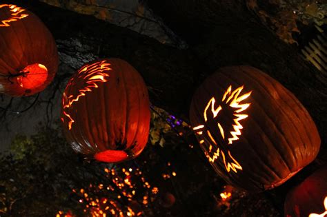 Grown in the Garden: A Trip into Sleepy Hollow: The Great Jack O ...