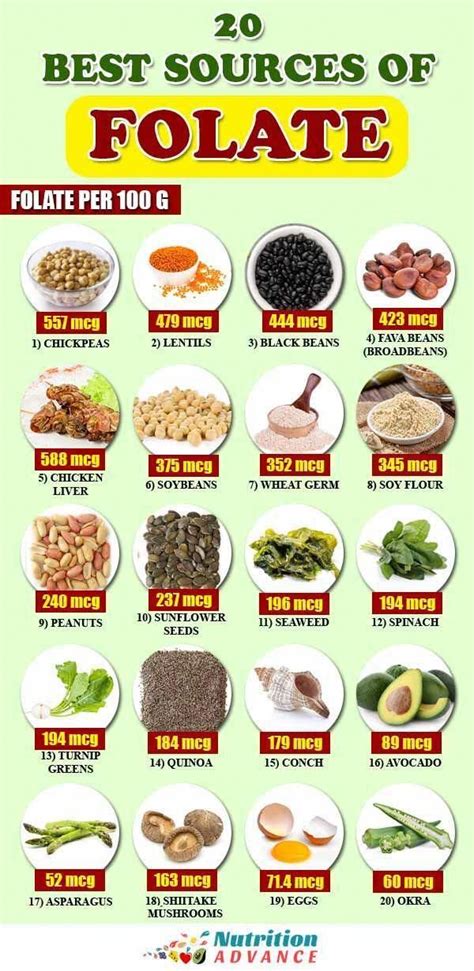 Image result for Folate Food Sources