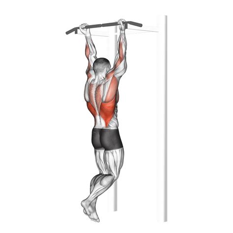 Neutral Grip Pull Up: Benefits, Muscles Worked, and More - Inspire US