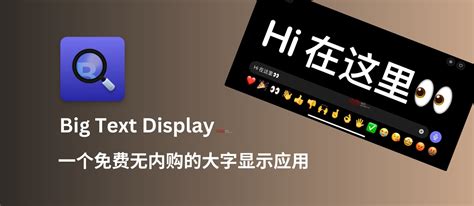 Text Display 的图像结果
