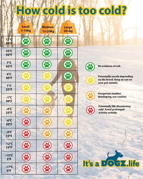 Hypothermia In dogs - How cold is too cold - Its a Dogz Life
