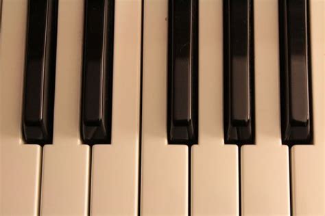 Image result for Piano Roblox Corpse Bride