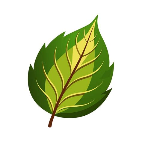 Beautiful flat style leaf icon vector illustration | Premium AI ...