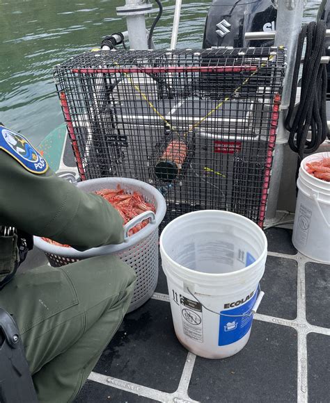 Check your gear: here’s what’s legal during crab pot closure in coastal ...