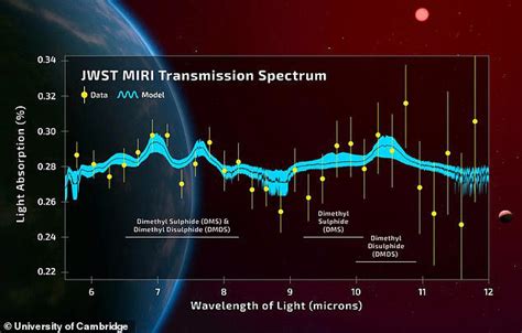Scientists warn reaching out to aliens could 'end all life on Earth'