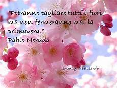 frasi con fiori primavera frasi cerca con buongiorno buona frasi con fiori primavera frasi cerca con buongiorno buona