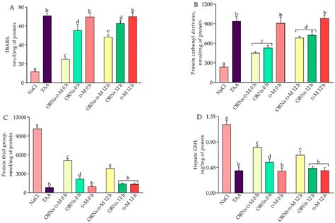 The Potential Protective Effect of Oligoribonucleotides-d-Mannitol ...
