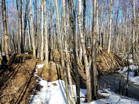 Anchorage: Lessons From Earthquake Park - Route Fifty