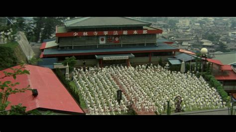 The Shaolin Temple (1982)