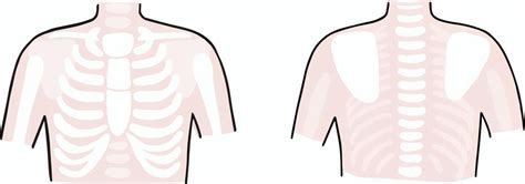 Image result for Next Use Algorithm