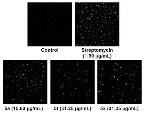 1,4-Naphthoquinone Analogues: Potent Antibacterial Agents and Mode of ...