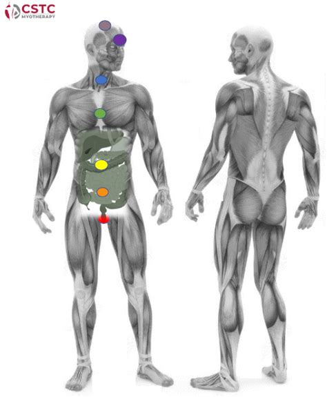 Image result for Body Scan Open