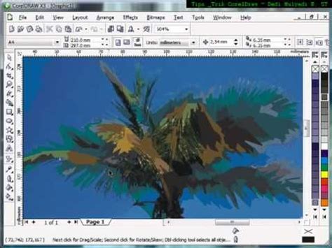 Image result for CorelDRAW 2020 Tracing Tutorials
