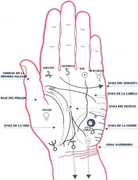 Los significados de los DEDOS de las Manos segun su Origen | Palmistry ...