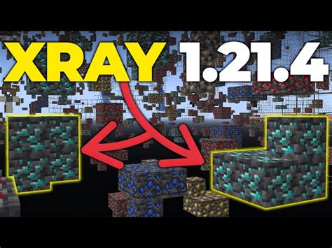 Image result for Download the X-ray for Minecraft Java Edition