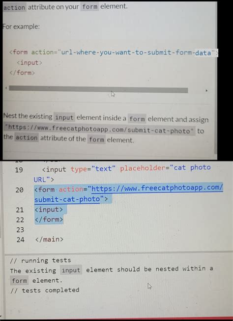 Image result for Create a Form Element Freecodecamp