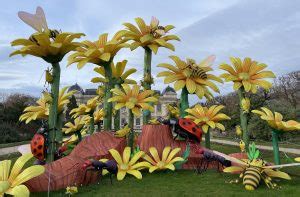 Beautiful French Words: From "Amour" to "Poésie"