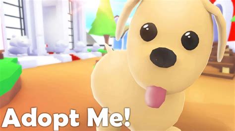Adopt Me Cute Pets 的图像结果