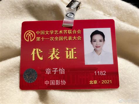 网友晒章子怡17岁和42岁证件照对比 岁月不败美人 - 人物 - cnBeta.COM