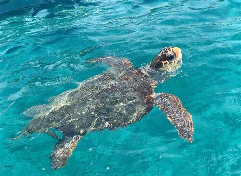 CLOSED COMPANY (2026) All You Need to Know BEFORE You Go (with Photos ...