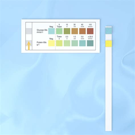 Urine Strip Test Urinalysis Glucose at Deborah White blog