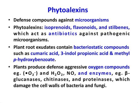 Image result for Topic 14