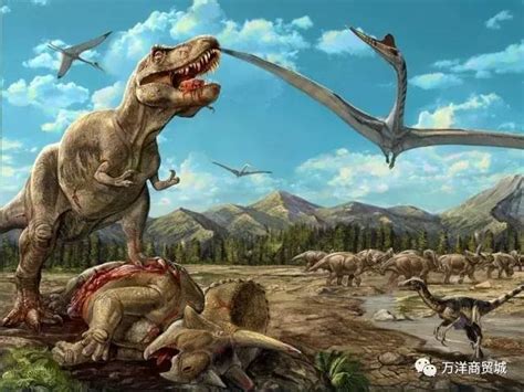 棘椎龙：非洲小型食肉恐龙（长3米/1亿年前的早白垩世）_探秘志
