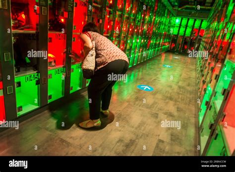 Image result for Paris-Roubaix Winner Lockers