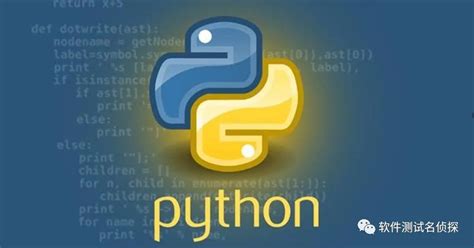 Faker Python Providers 的图像结果