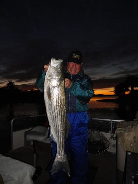 Photos: Big fish caught in Lake Havasu | Local News Stories ...