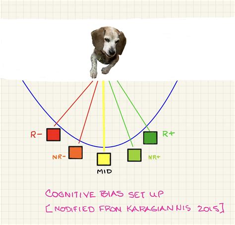 Dazzled by Science Part 8 - Behavior Medications - FLUOXETINE - Aggressive Dog