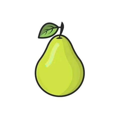 Image result for Illustrator Vector Tutorial