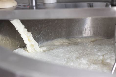 What is the Difference Between Homogenization and Pasteurization ...