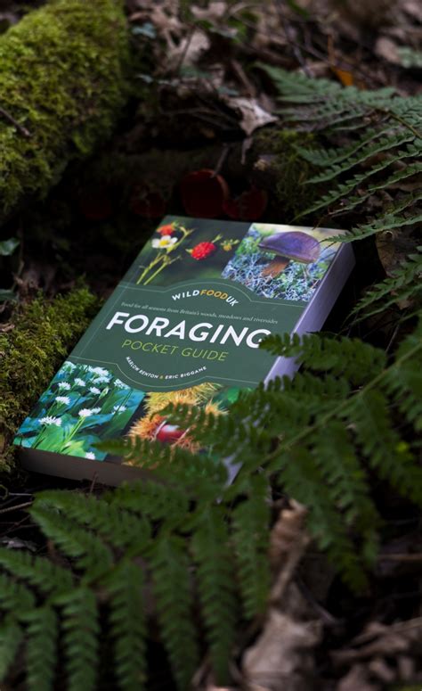 Image result for Foraging Guide