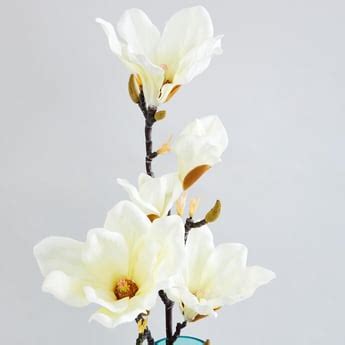 Buy Home Gardening Decor Online At Low Prices - Home Centre