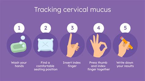 Egg White Cervical Mucus Vs Sperm