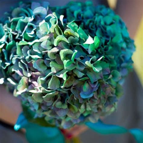 Colour Spray Paint - Red for Fresh Flowers/Wood/Metal/Plastic/Ceramic ...