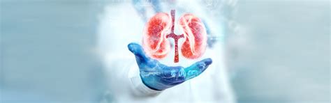 Preventing Kidney Stones: An In-depth Guide to Optimal Renal Health ...