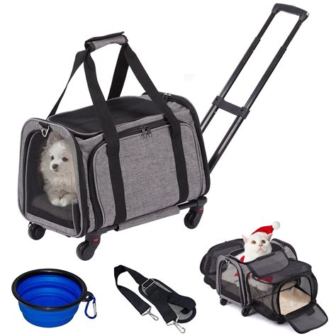 Pet Carrier Meijer at Tia Curtis blog