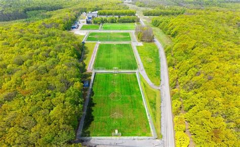 Sportsfield within Forest 的图像结果