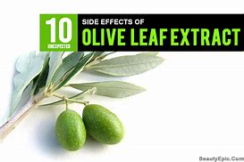 Image result for Olive Leaf Supplement Side Effects