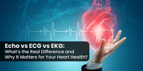 Echo vs ECG vs EKG: What’s the Real Difference and Why It Matters for Your Heart Health? - THE ...